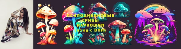 мдпв Новокубанск