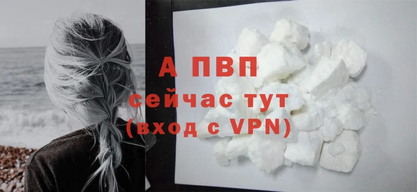 a pvp Новозыбков
