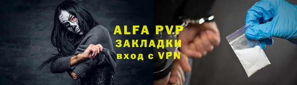 a pvp Новозыбков