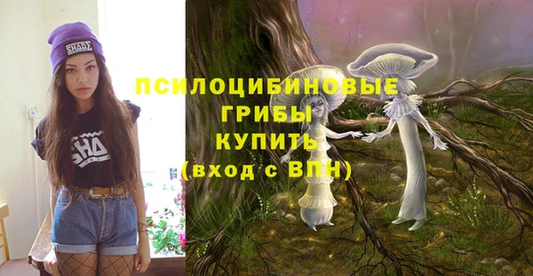 a pvp Новозыбков