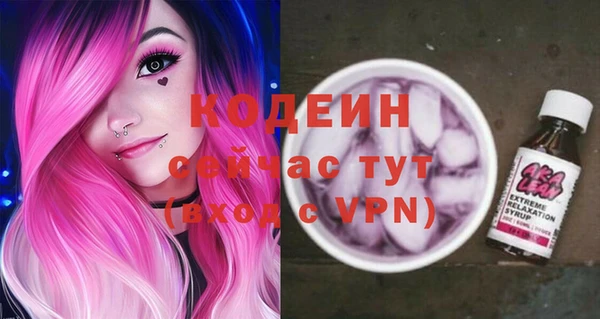a pvp Новозыбков