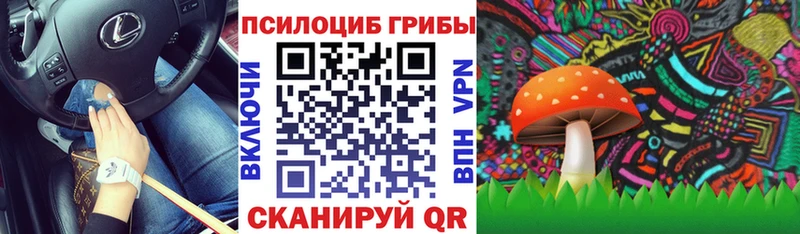 Псилоцибиновые грибы мицелий  Ржев 