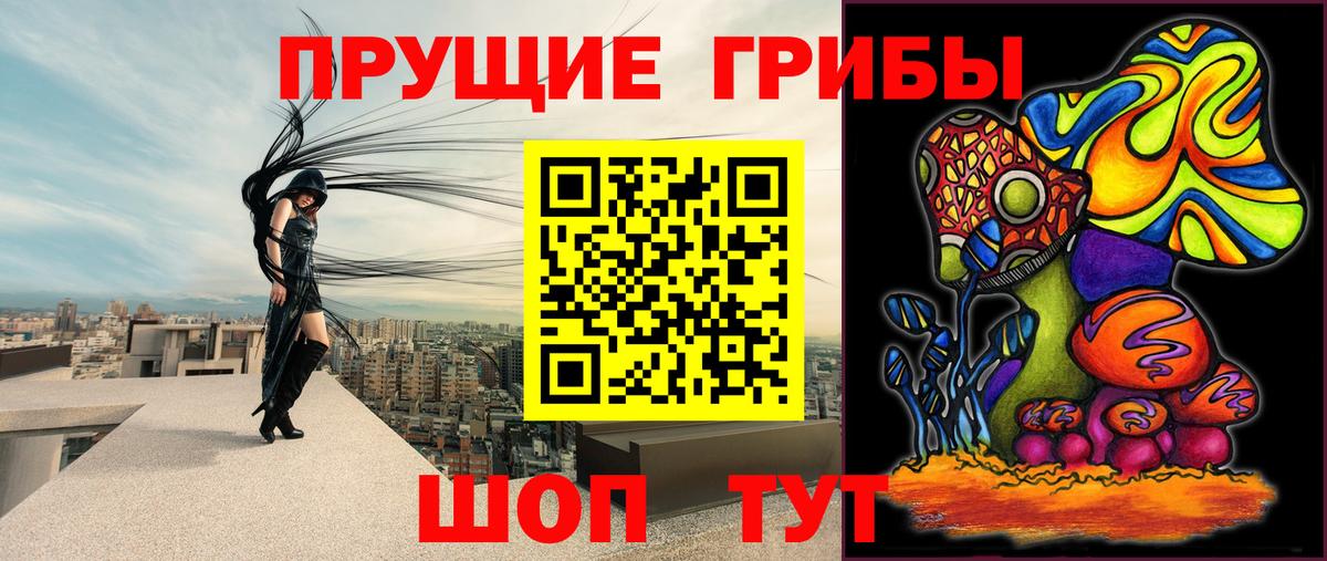 Псилоцибиновые грибы Psilocybe Ржев