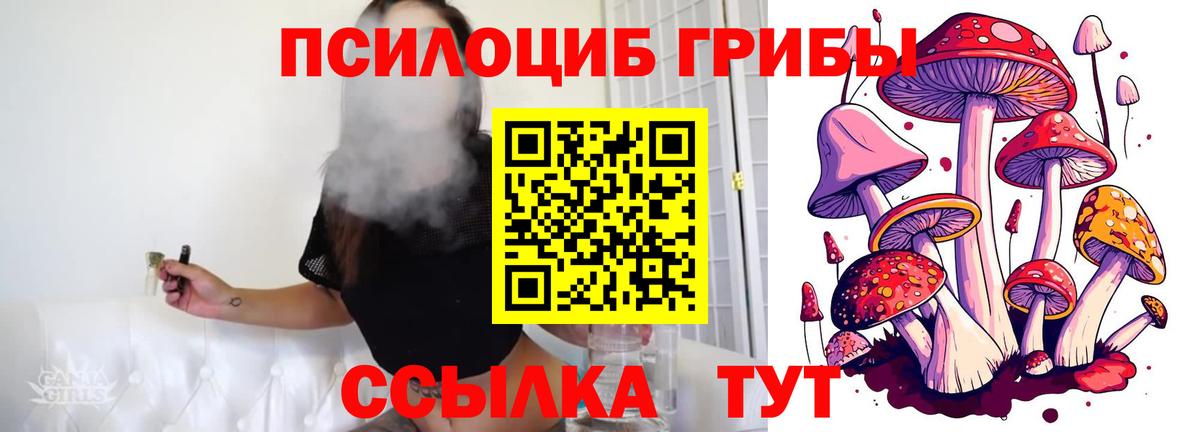 купить наркотик  Галлюциногенные грибы Cubensis  Вход с VPN  Ржев 