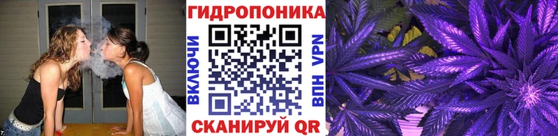 Бошки Шишки THC 21%  как найти   Ржев 